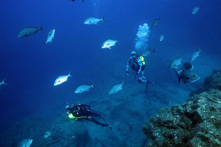 Mergulho 051.jpg